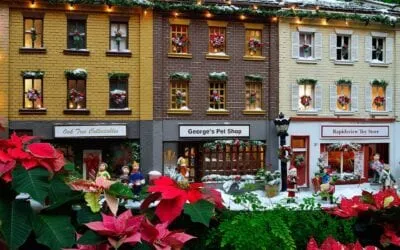 shops